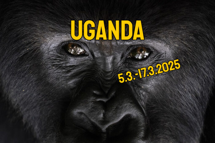 TRIP: UGANDA